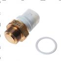 Picture of Temperature Switch