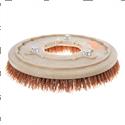 Picture of Brush 15 Inch