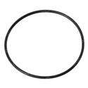 Picture of O-Ring