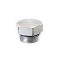 Picture of Plug - Hex Head