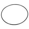 Picture of O-Ring