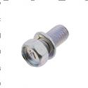 Picture of Bolt