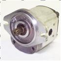 Picture of Pump - Gear