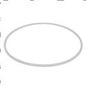 Picture of Ring Backup