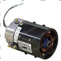 Picture of Yamaha G29/Drive 48 Volt