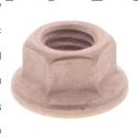 Picture of Nut