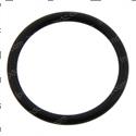 Picture of O-Ring