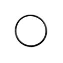 Picture of O-Ring