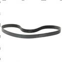 Picture of Belt - Serpentine