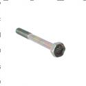 Picture of Bolt