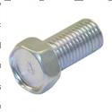 Picture of Bolt