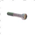Picture of Bolt