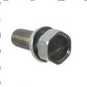 Picture of Bolt - W/ Washer