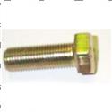 Picture of Bolt