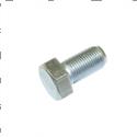 Picture of Bolt
