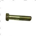 Picture of Bolt