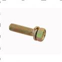Picture of Bolt