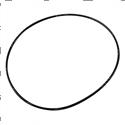 Picture of O-Ring