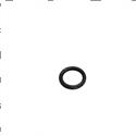 Picture of O-Ring