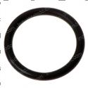 Picture of O-Ring