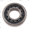 Picture of Bearing - Roller Cylindrical