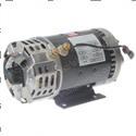 Picture of Motor - Pump