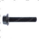 Picture of Bolt