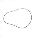 Picture of O-Ring