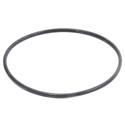 Picture of O-Ring