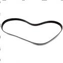 Picture of Belt - Serpentine