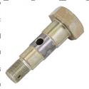 Picture of Bolt - Special