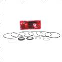 Picture of Seal Kit - Motor