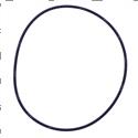 Picture of Seal