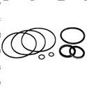 Picture of Seal Kit - Orbitrol