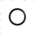 Picture of Seal