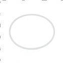 Picture of Ring - Backup