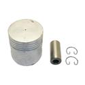Picture of Piston  Std