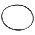 Picture of O-Ring