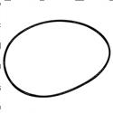 Picture of O-Ring