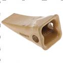 Picture of Tooth