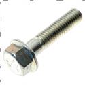 Picture of Bolt