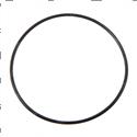 Picture of O-Ring